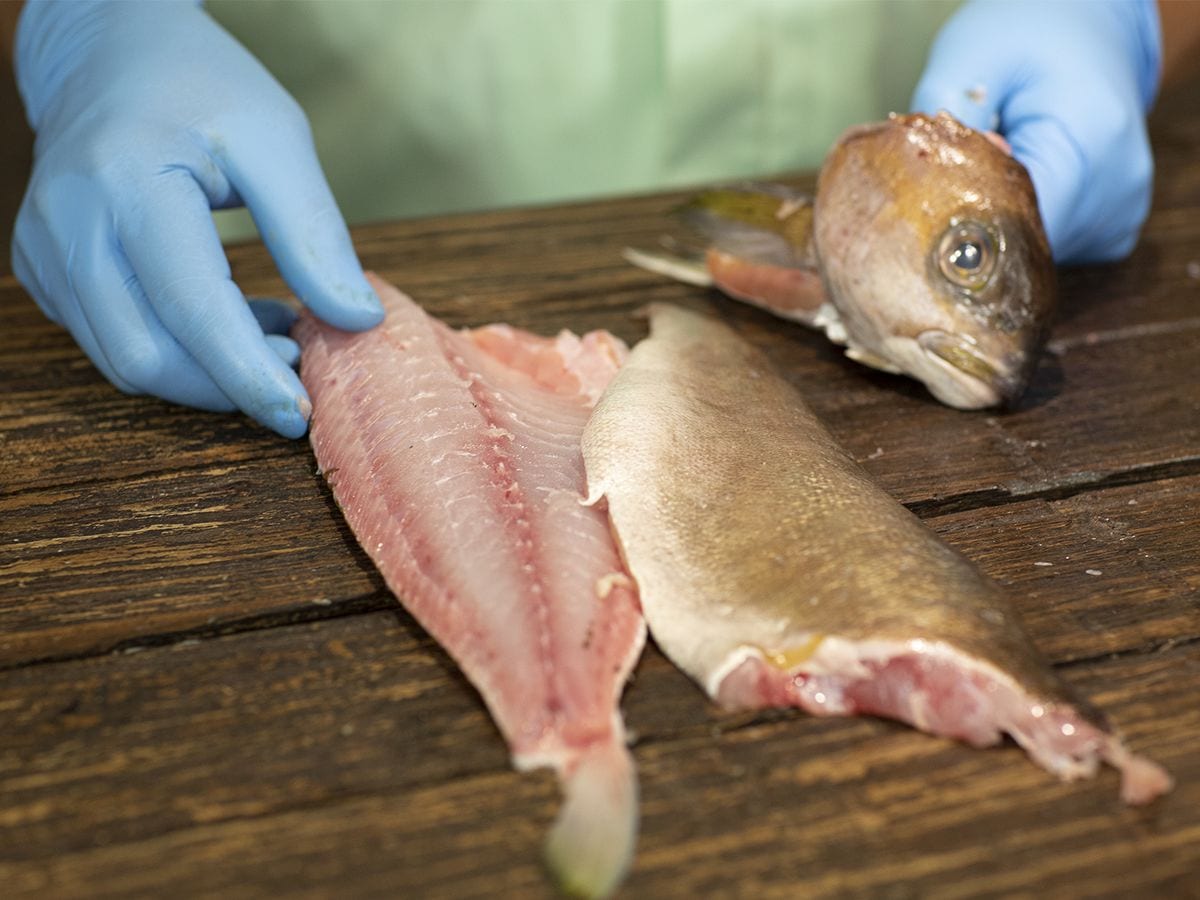Pargo