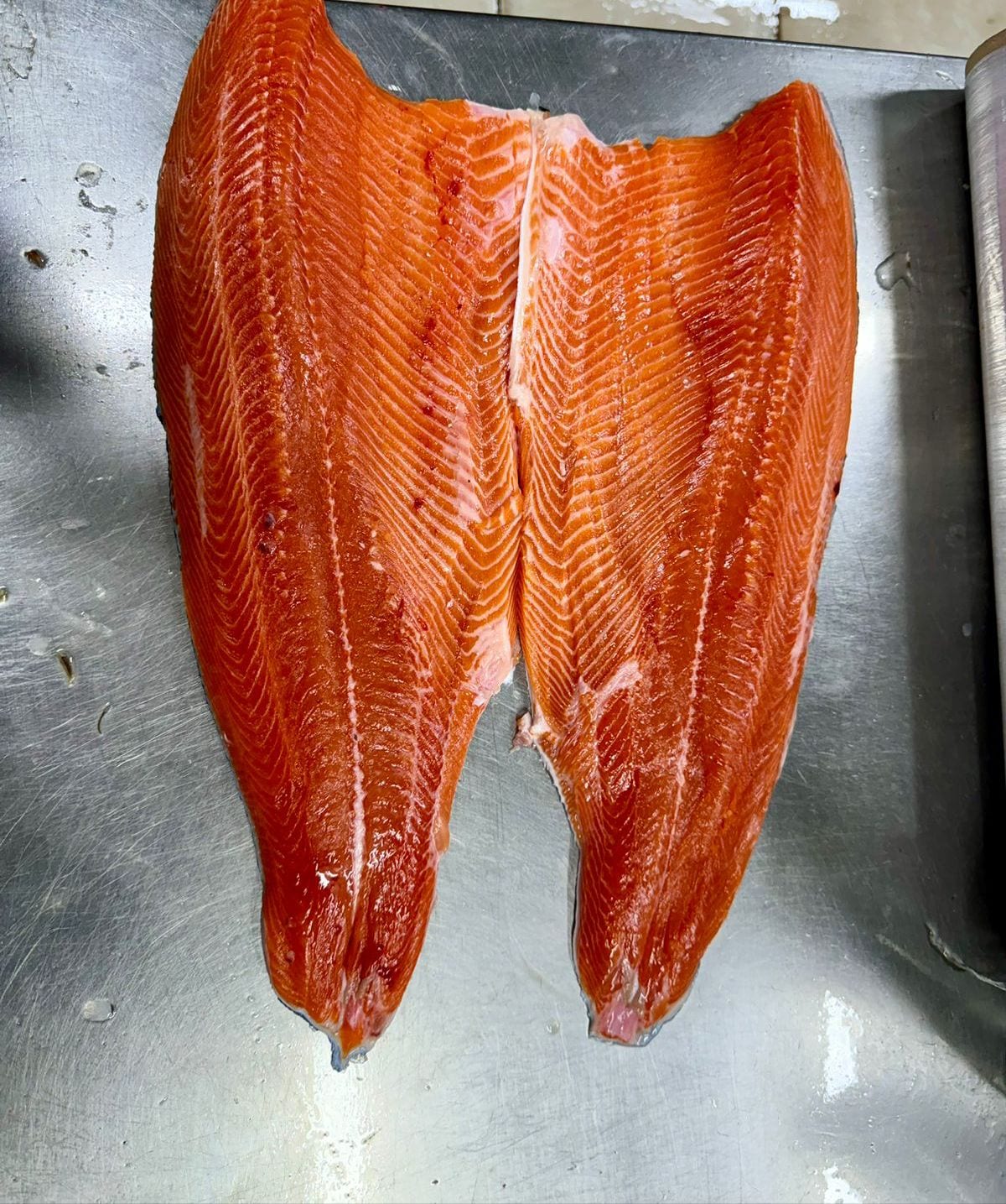 Salmón